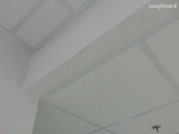 EasyBoard Profi: U-förmige Liebung [2lfm/Stk.] 4